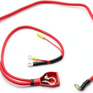 Standard Motor Battery Cable Painted Design A47-4TA-0