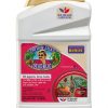 Bonide Captain Jack's Deadbug Brew, 32 oz Concentrate Outdoor Insecticide and Mite Killer for Organic Gardening-0
