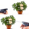 Glass Spray Bottles, Handheld Pressure Sprayers with Adjustable-4